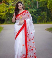 Half Silk Saree Premium (2404)